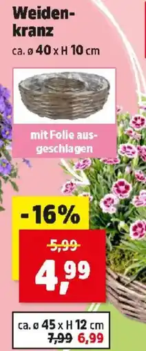 Thomas Philipps Weiden kranz Angebot