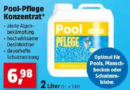 Thomas Philipps Pool-Pflege Konzentrat Angebot