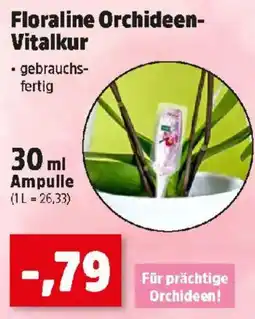 Thomas Philipps Floraline Orchideen Vitalkur Angebot