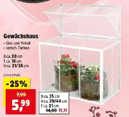 Thomas Philipps Gewächshaus Angebot