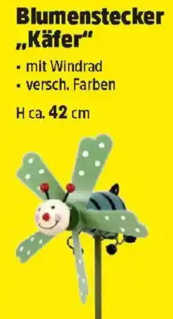 Thomas Philipps Blumenstecker Käfer Angebot