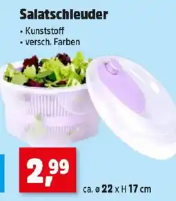 Thomas Philipps Salatschleuder Angebot