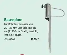 Bauhaus Rasendorn Angebot