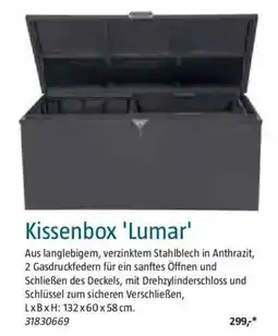 Bauhaus Kissenbox 'Lumar' Angebot