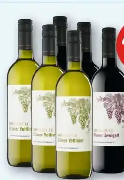 T&G Winzer Krems Grüner Veltliner Angebot
