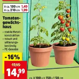 Thomas Philipps Tomaten gewächs haus Angebot
