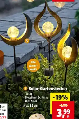 Thomas Philipps Solar-Gartenstecker Angebot