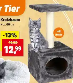 Thomas Philipps Kratzbaum Angebot
