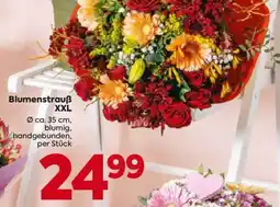Billa Blumenstrauß XXL Angebot