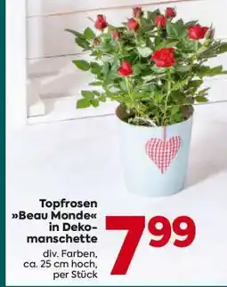 Billa Topfrosen Beau Monde in Dekomanschette Angebot
