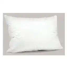 Reiter 3-Kammernpolster „Harry“ B6050001 Betten Reiter Angebot