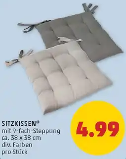 PENNY Sitzkissen Angebot