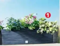Norma Blumenkasten eckig Angebot