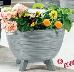 Norma Blumentopf mit Standfüßen Angebot