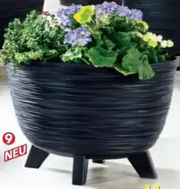 Norma Blumentopf mit Standfüßen Angebot