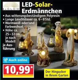 Norma LED-Solar- Erdmännchen Angebot