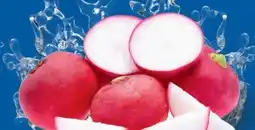 Lidl Snack Radieschen Angebot