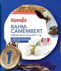 Lidl Alpengut Rahm-Camembert Angebot