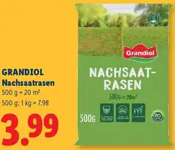 Lidl Grandiol Nachsaatrasen Angebot