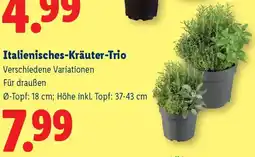 Lidl Italienisches-Kräuter-Trio Angebot