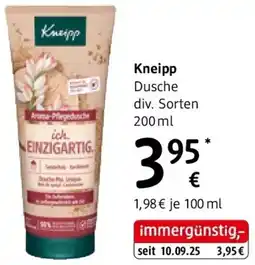 dm Kneipp Dusche Angebot