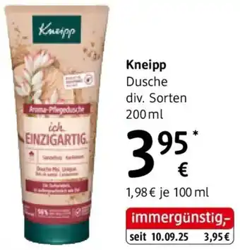 dm Kneipp Dusche Angebot