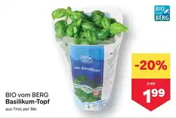 MPreis BIO vom BERG Basilikum-Topf Angebot