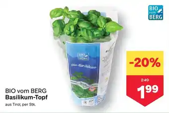 MPreis BIO vom BERG Basilikum-Topf Angebot