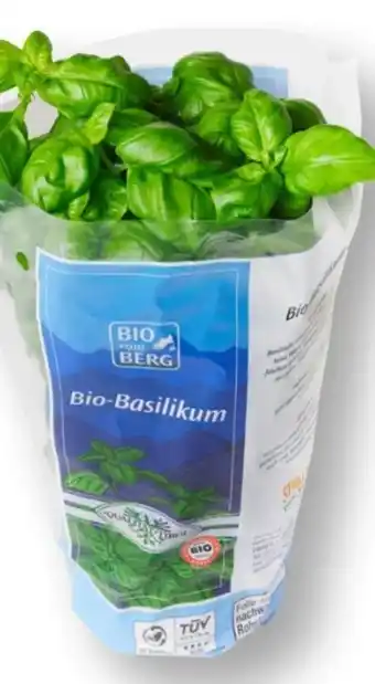 MPreis Bio vom Berg Basilikum Angebot