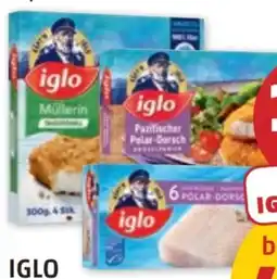 PENNY Iglo Polar-Dorsch Angebot