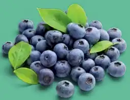 PENNY Echt Bio Heidelbeeren Angebot