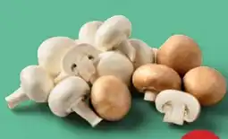 PENNY Champignons Angebot