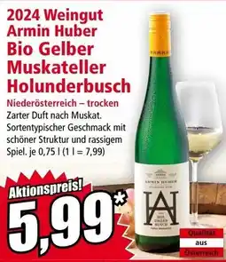 Norma 2024 weingut armin huber bio gelber muskateller holunderbusch Angebot