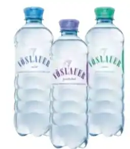 Transgourmet Vöslauer Mineralwasser Angebot