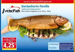 Norma Arctic Fish Angebot