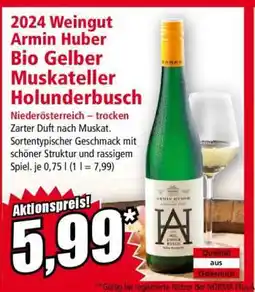 Norma 2024 Weingut Armin Huber Bio Gelber Muskateller Holunderbusch Angebot