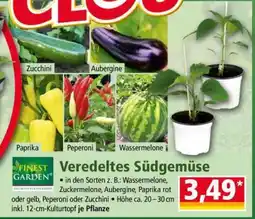 Norma Finest Garden Angebot