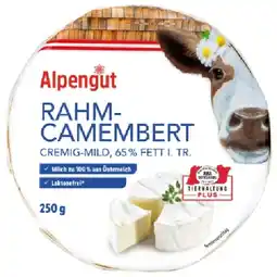 Lidl Rahm-Camembert Lidl APP Preis Angebot