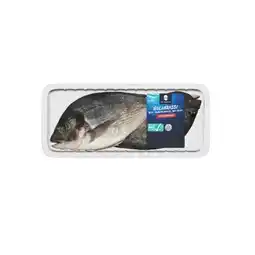 Lidl Frische Dorade ganz Lidl Angebot