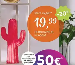 XXXLutz Dekokaktus H: 40cm 06090BN501 XXXLutz Angebot