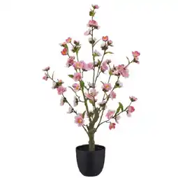 Mömax Kunstpflanze „KIRSCHBLÜTE“ 4297357501 mömax Angebot
