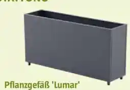 Bauhaus Pflanzgefäß Lumar Angebot