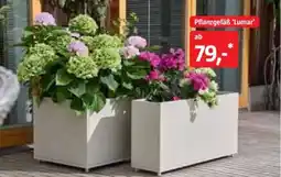 Bauhaus Pflanzgefäß Lumar Angebot