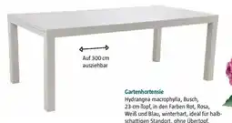 Bauhaus Ausziehtisch Maja Stone Angebot