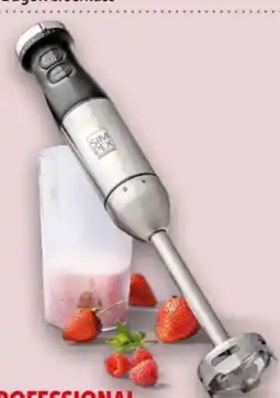 Interspar Simpex Professional Edelstahl-Stabmixer Le Chef Angebot