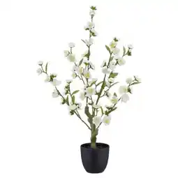 Mömax Kunstpflanze Kirschblüte Angebot