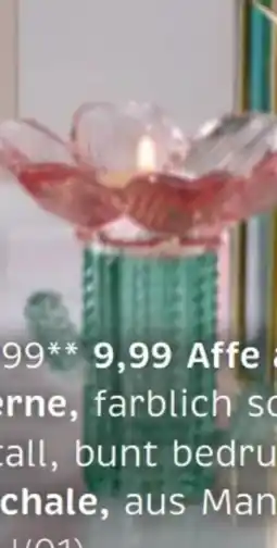XXXLutz Teelichthalter Kaktus Angebot