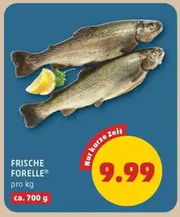 PENNY Frische Forelle Angebot