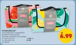 PENNY Picknickdecke Angebot