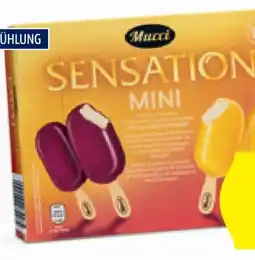 Hofer Mucci Mini Stieleis Frucht Angebot